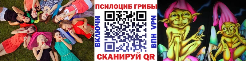 ссылка на мегу   где найти наркотики  Севск  Галлюциногенные грибы Cubensis 